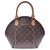 Louis Vuitton Ellipse Brown Cloth  ref.212464