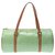 Louis Vuitton Papillon Verde Pelle verniciata