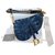 Dior Saddle KaleiDiorscopic bag Blue Golden Dark blue Cloth Denim  ref.225236
