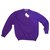 Autre Marque ALAN PAINE Sweater Purple Wool  ref.231253
