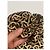 Burberry FOULARD CAPELLI MONOGRAMMA MARRONE - vista 3
