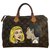 Louis Vuitton Speedy Pop Art bag Light brown Cloth  ref.249382