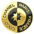 Broche de Chanel Dorado Chapado en oro  ref.256562