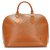 Louis Vuitton Brown Epi Alma PM Leather  ref.268012