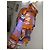 Autre Marque Dino Valiano Silk Long Jacket Multi Color Multiple colors - view 2