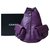 Chanel Purple Lambskin Large Backpack Leather  ref.288760