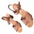 Janet & Janet sandali Beige