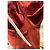 Autre Marque Mini abito Lovers+Friends Rosso Corallo - vista 6