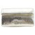 Nancy Gonzalez Gold Python Metallic Clutch Golden