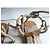 Jimmy Choo flache Sandalen beige Leder Größe 37 - Ansicht 3