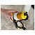 Emilio Pucci sneakers taglia 36 - vista 4