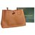 Roseau Longchamp bag Caramel Leather  ref.320187