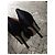 Manolo Blahnik hangisi black  105 mm - vista 4