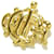 Broche dior Dourado Metal  ref.341244