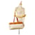 Hermès Hermes Brown Herbag Cabas MM Marrone Beige - vista 10
