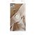 Falda Chanel de seda beige - vista 2