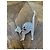 Superb Chat Dior brooch - view 3