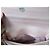 Borsa piccola con patta NEW Arthur & Aston Rosa - vista 4