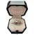 Chaumet bulrush Silvery White gold  ref.410630