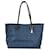 Céline Celine Blue Carriage Tote Bag Leather Plastic Pony-style calfskin  ref.413204