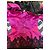 Giacca Casadei Rosa Fuchsia con Volant e Pizzo Nero Fuschia - vista 9
