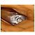 Fiorentini+Baker Botas Fiorentini + Baker p 37 - vista 8