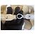 Tod's BORSA A SPALLA TODS IN TELA INTRECCIATA Beige - vista 8