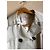Sandro trench coat - view 2