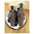 Ugg Schnürstiefel, Pointure 37. Braun  - Ansicht 3