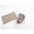 SCARPE BOTTEGA VENETA LUXE BAMBINO 39 SCARPE ANTILOPE IN CAMOSCIO BEIGE - vista 9