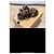 Ciabatte Ugg Oh Yeah Stampa Panther Nero Marrone chiaro Marrone scuro - vista 5