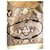 Prada Borsa tote in pitone con logo Hobo Marrone Beige  - vista 2
