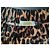 Autre Marque Muse Leopardenbluse Baumwolle Mehrfarben Leopardenprint - Ansicht 4