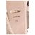 Burberry Polesden 120 Sandali Platform con Pizzo in Pelle Scamosciata Nude - vista 6