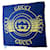 Gucci Logo Print Scarf/Stole Blue Modal  ref.550747