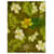 Autre Marque Short Miguelina Estampado Orquídeas Verde oliva Viscosa  ref.577013