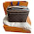 Louis Vuitton Handbags Multiple colors  ref.597861