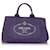 Bolso de mano de lona morado con logo Canapa de Prada Púrpura Lienzo Paño  ref.608912