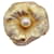 Christian Dior Pins & Broschen Golden  ref.630871