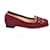 Charlotte Olympia Kitty Ballet Flats in Burgundy Suede Dark red  ref.630999