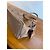 Longchamp-Tasche - Ansicht 7
