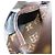 LOUIS VUITTON Borsa a spalla Palm Springs Monogram World Tour M42971 auth 29526alla - vista 20