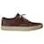 Autre Marque Common Projects Lace Up Sneakers in Brown Suede  ref.675481