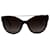Dolce & GabbanaTop Havana on Gold 4280 Óculos de Sol em Acetato Multicolor Multicor Plástico  ref.697170