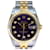 Rolex Mens Datejust Mostrador Roxo Diamante em Dois Tons 18k Moldura canelada 36mm relógio Metal  ref.706376
