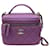 Vanity Chanel Handbags Dark purple Leather  ref.712540