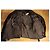 Miss Sixty Jackets - view 6