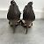 Sandali GIUSEPPE ZANOTTI T.EU 36 Pelle Marrone - vista 3