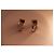 Pendientes Guy Laroche - vista 5