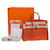 Hermès Hermes Birkin Tasche 25 aus orangefarbenem Leder - 101050  ref.855336